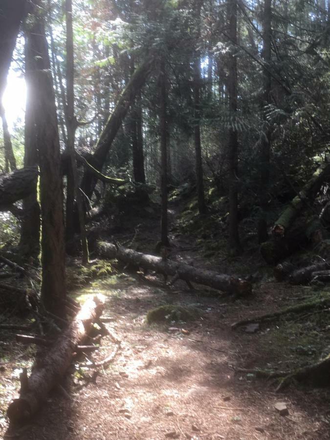 Oceanspray Hideaway Leilighet North Saanich Eksteriør bilde